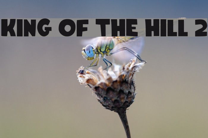 King Of The Hill 2 फ़ॉन्ट examples