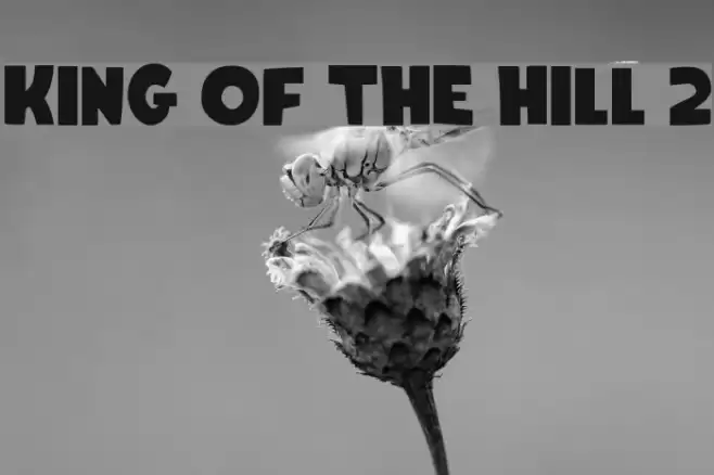 King Of The Hill 2 Font examples