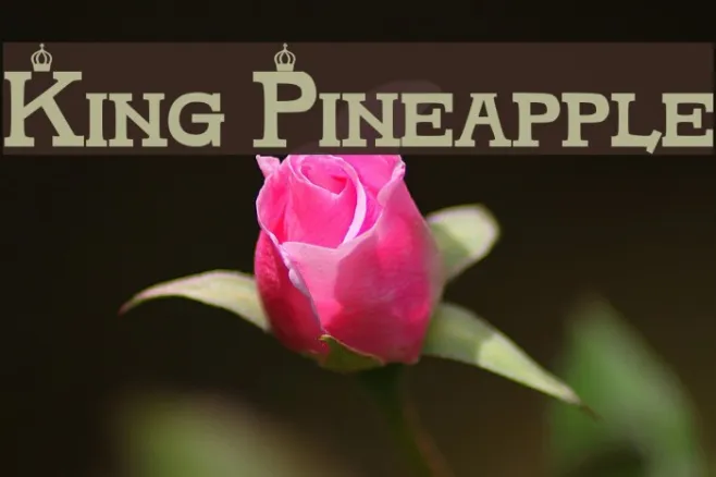 King Pineapple Example 2