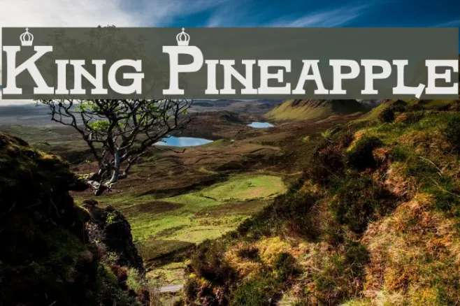 King Pineapple Example 3