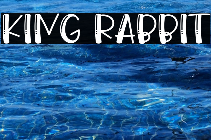 King Rabbit Example 1