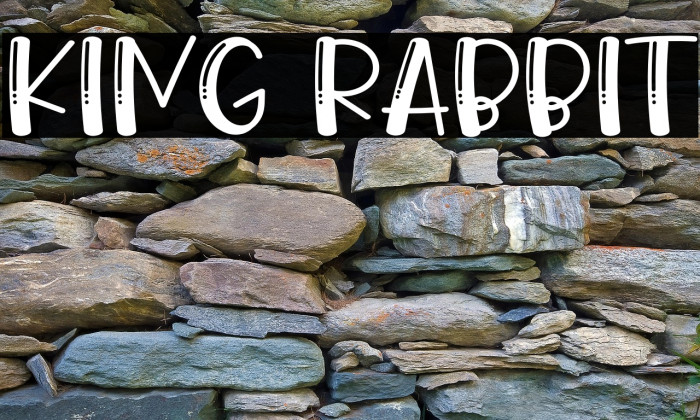 King Rabbit Example 2