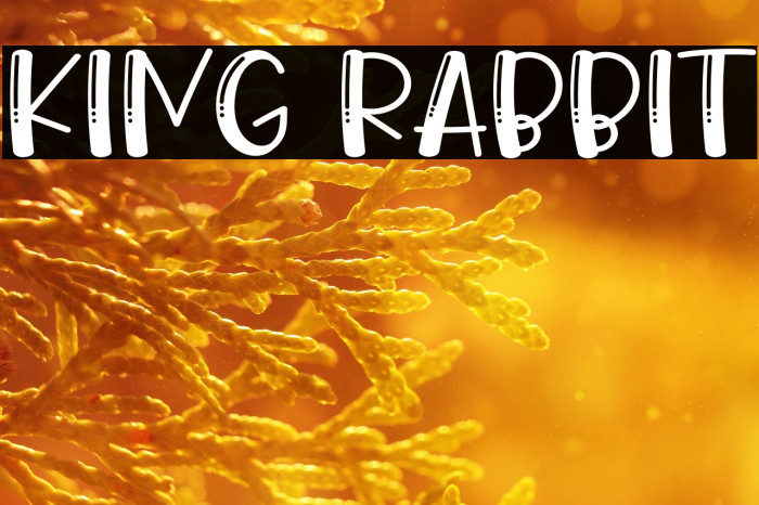 King Rabbit Example 3