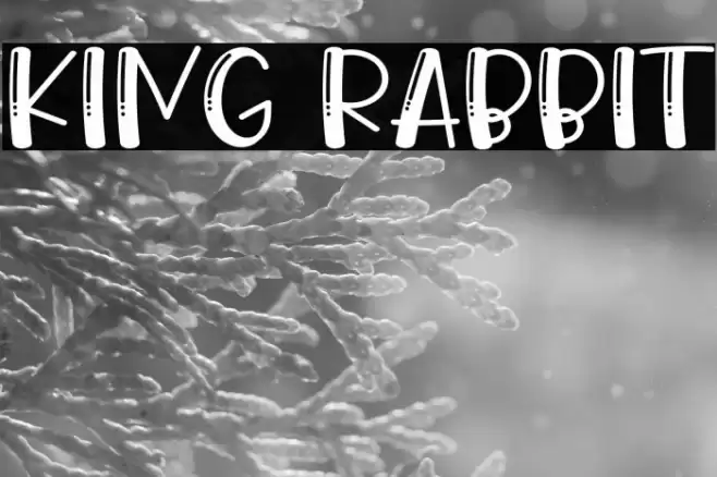King Rabbit Schriftart examples