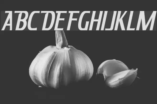 King Richard Italic Font examples