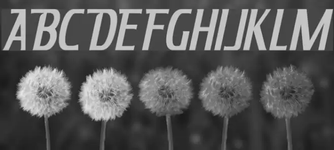 King Richard Italic Font examples