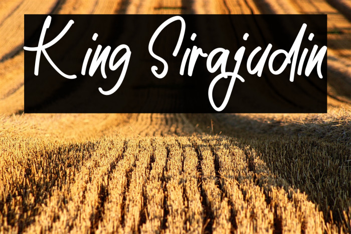 King Sirajudin Example 1