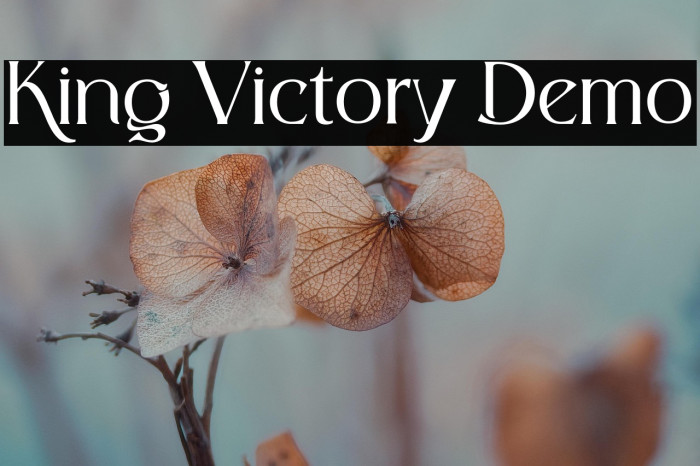 King Victory Demo Example 1