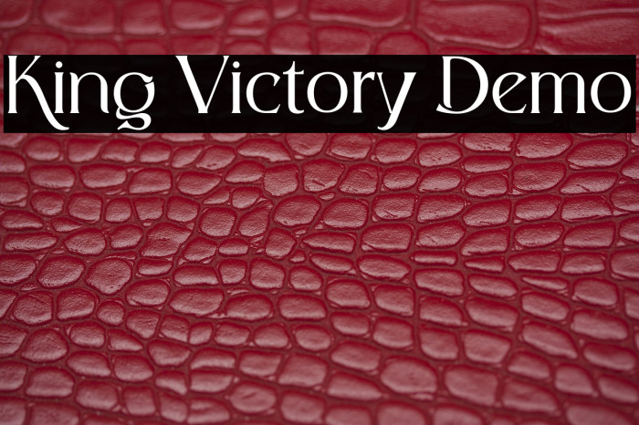 King Victory Demo Example 3