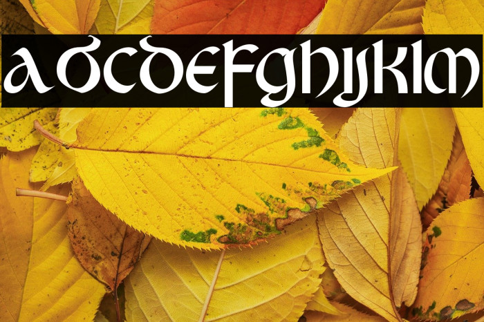 KingCastle Example 1