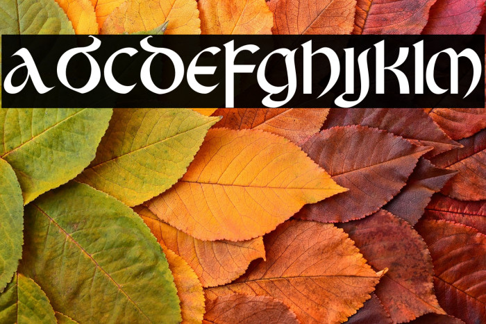 KingCastle Example 2