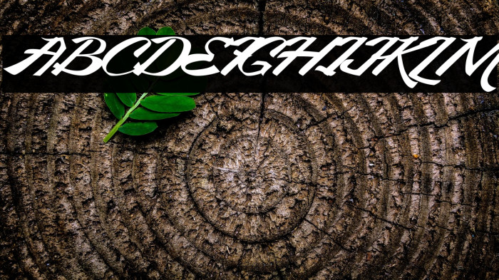 KingCityFreeFont Example 2