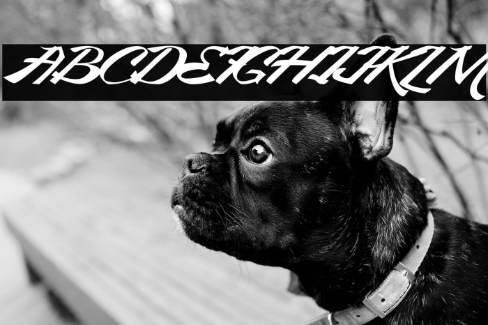 KingCityFreeFont Example 3