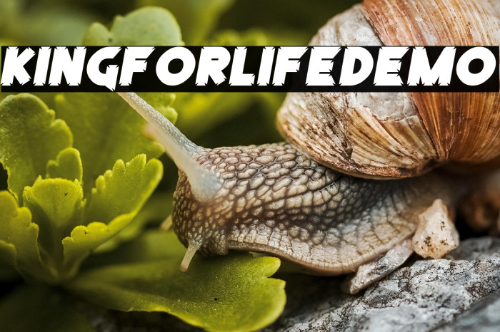 KingForLifeDemo Example 1