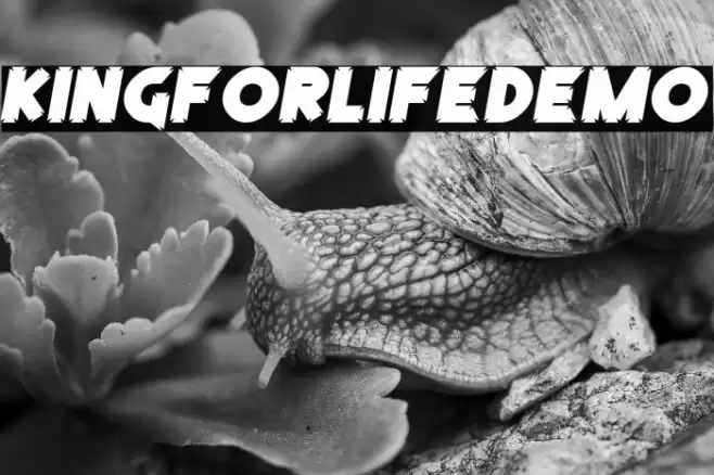 KingForLifeDemo Caratteri examples