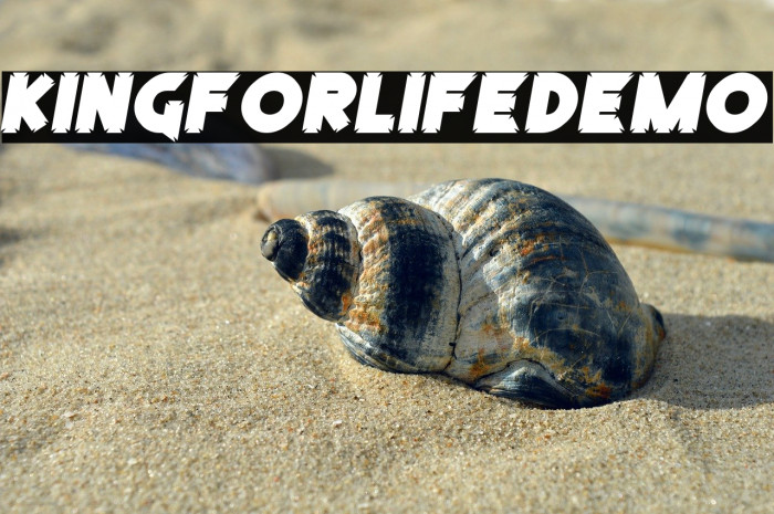 KingForLifeDemo Example 3