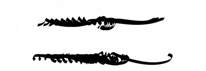 KingGeorg-Regular フォント 大文字