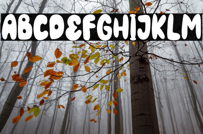 KingRabbit-Regular Example 2