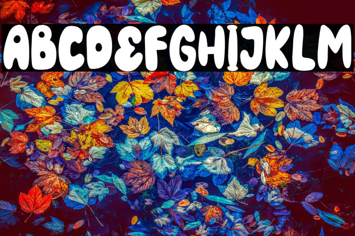 KingRabbit-Regular Example 3