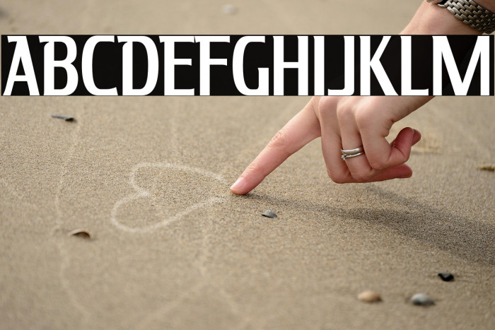 KingRichard-Regular Example 1