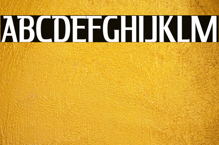 KingRichard-Regular Example 2