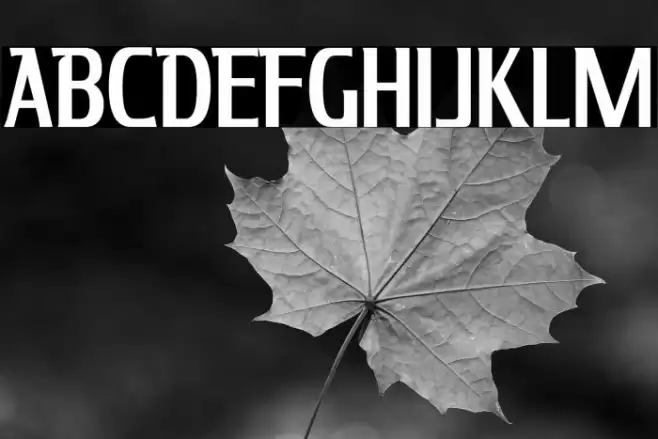 KingRichard-Regular Font examples