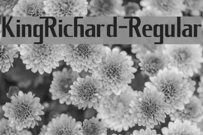 KingRichard-Regular Font examples