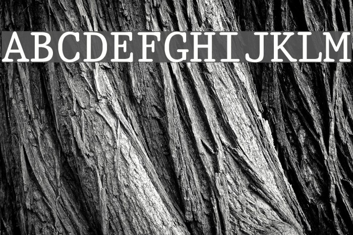 King Schriftart examples
