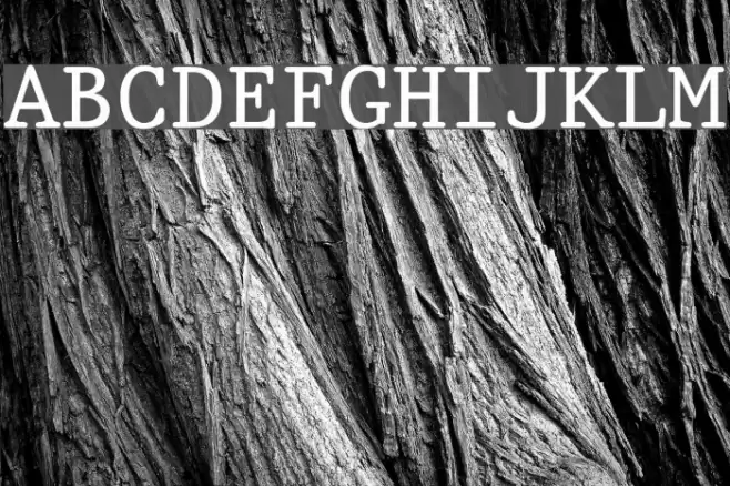 King Schriftart examples