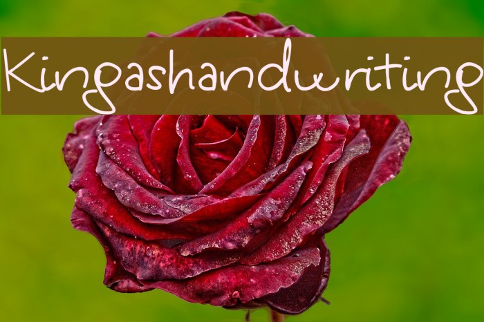 Kingashandwriting Font examples