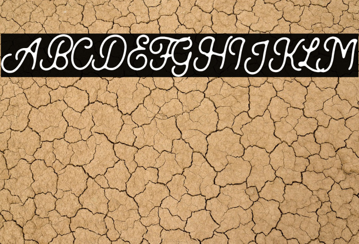 Kingbirds-Rough Example 1