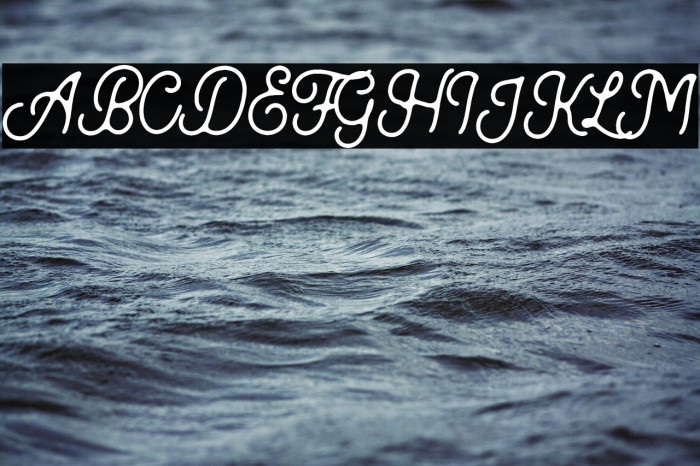 Kingbirds-Rough Example 1