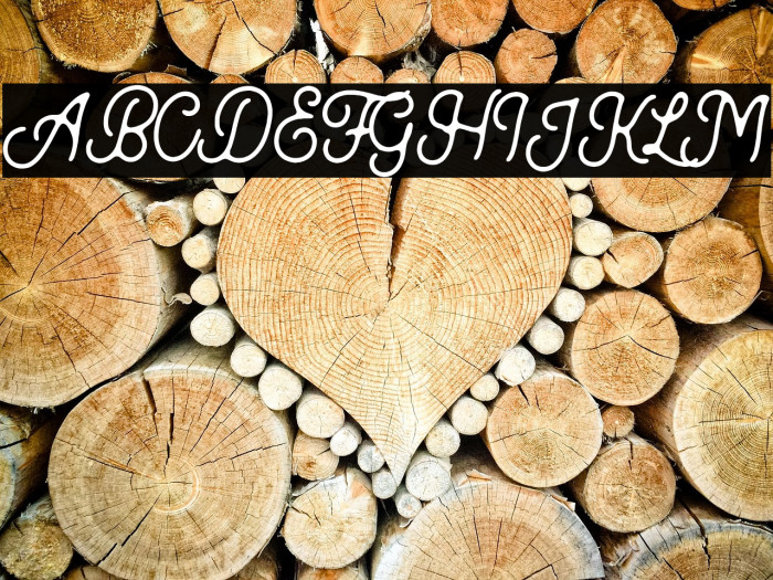 Kingbirds-Rough Example 2