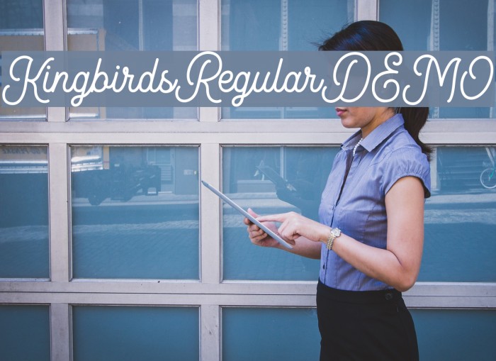 KingbirdsRegularDEMO Font examples