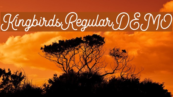 KingbirdsRegularDEMO Font examples