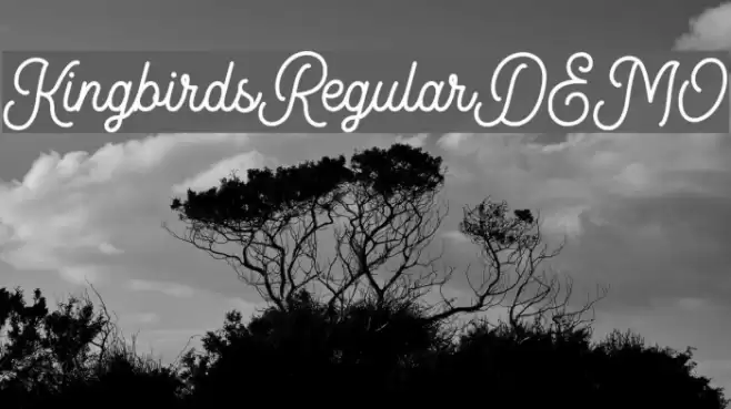 KingbirdsRegularDEMO Caratteri examples