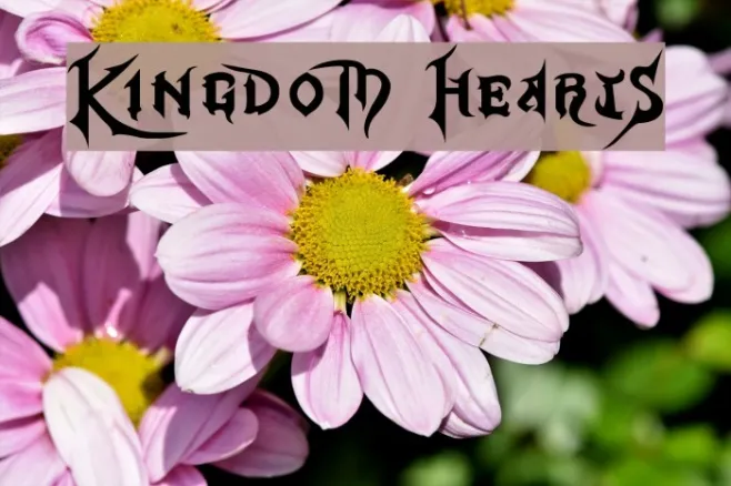 Kingdom Hearts Example 1