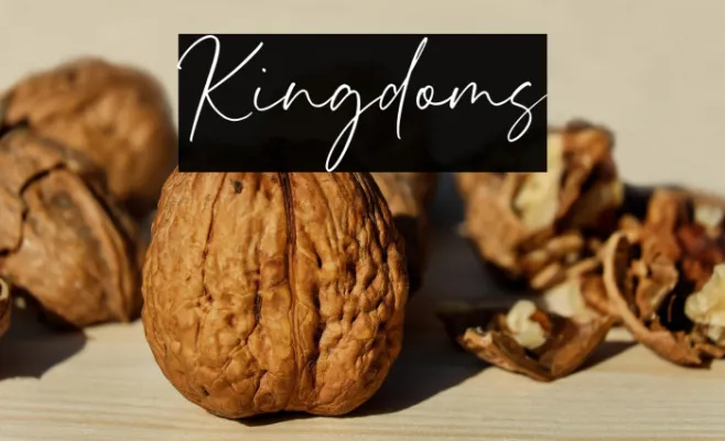 Kingdoms Example 2