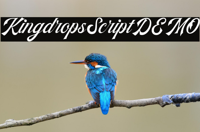 KingdropsScriptDEMO Example 1