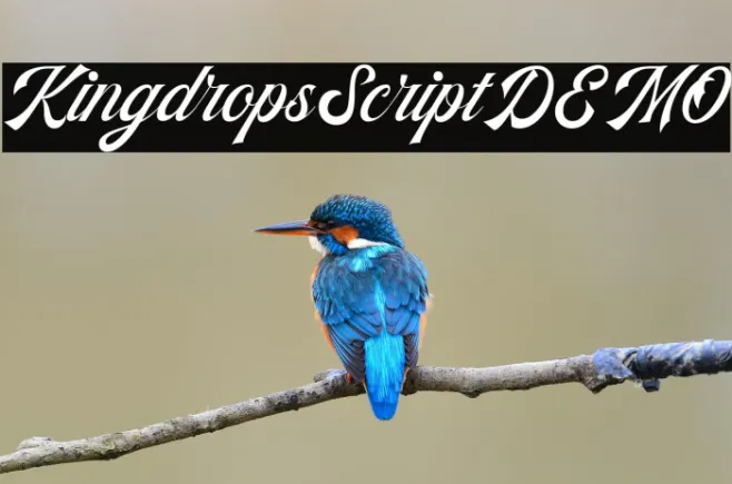 KingdropsScriptDEMO Example 1