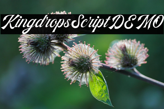 KingdropsScriptDEMO Example 2