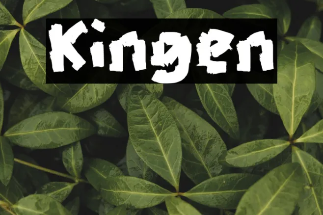 Kingen Example 1