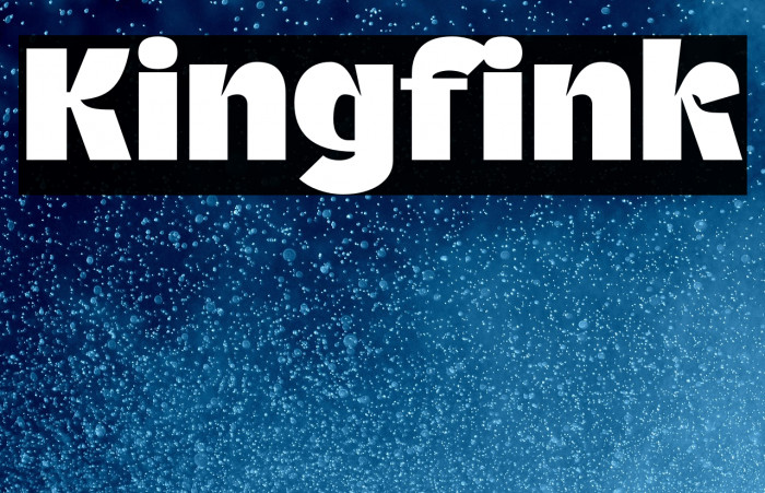 Kingfink Example 1