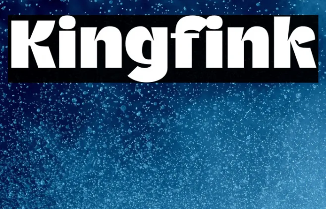 Kingfink Example 1