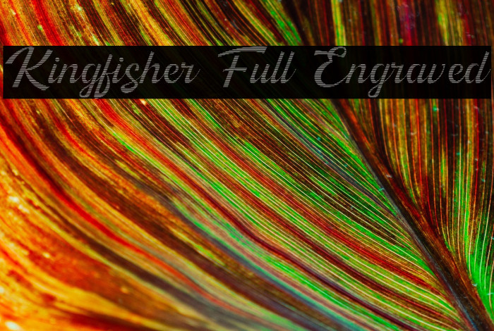Kingfisher Full Engraved Example 1