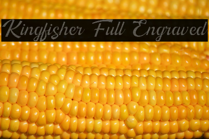 Kingfisher Full Engraved Example 2