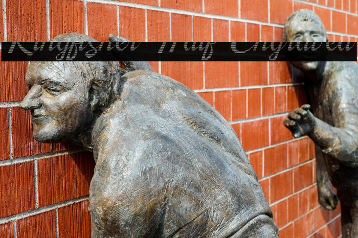 Kingfisher Half Engraved Example 2