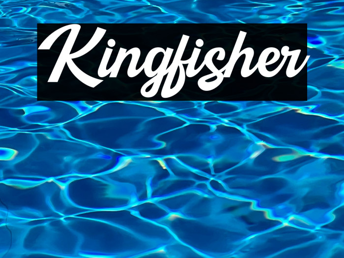 Kingfisher Example 2