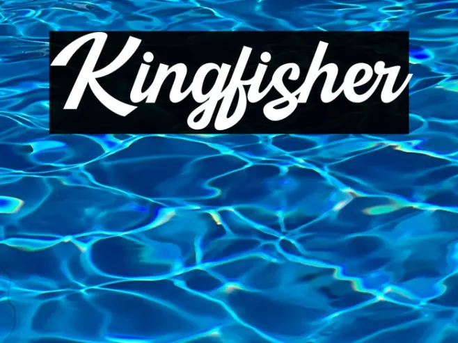 Kingfisher Example 2