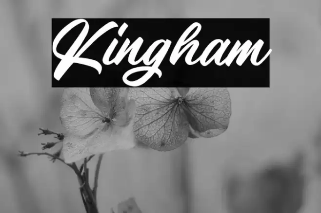 Kingham Font examples
